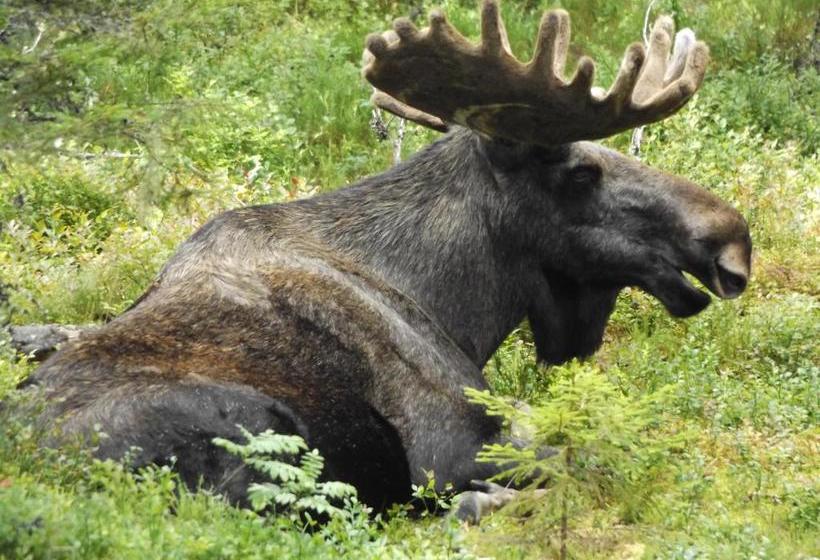 צימר Cafè Bistro Moccacino