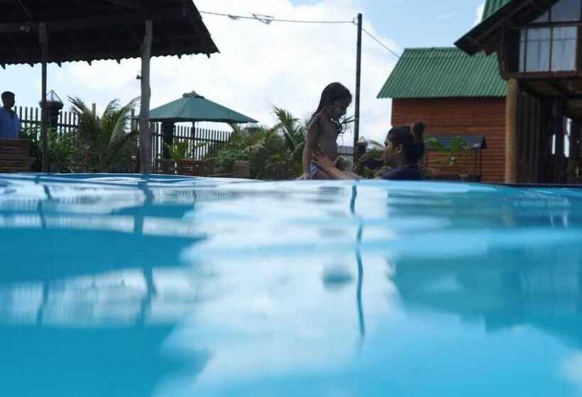 住宿加早餐  Hi Win