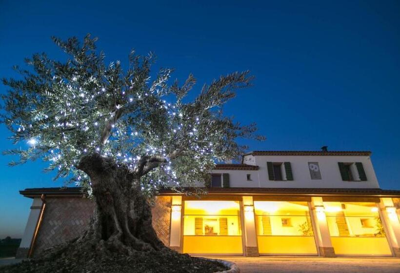 酒店 Agriturismo Le Margherite