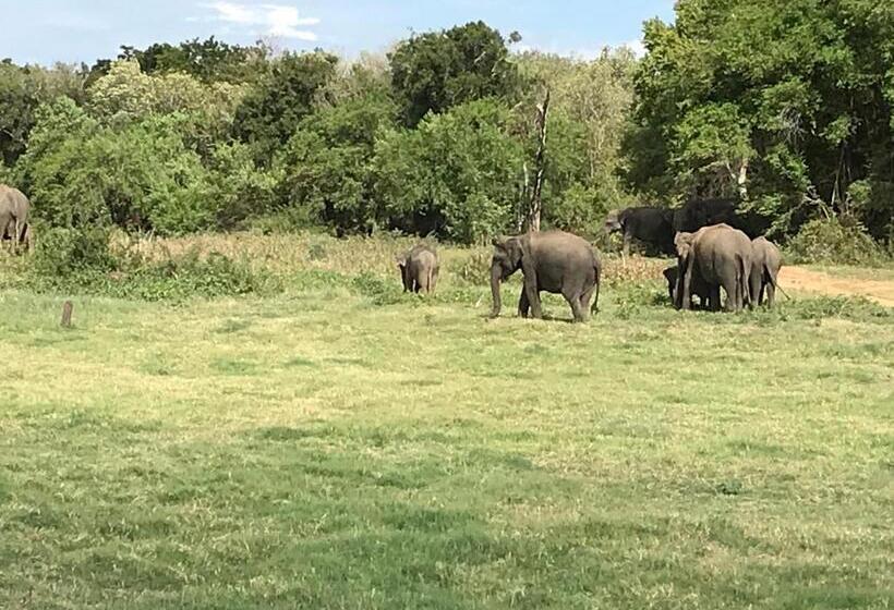 ホテル Bangalawa Resort