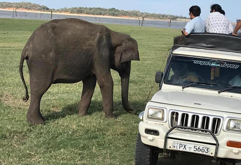 ホテル Bangalawa Resort