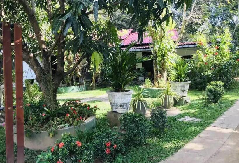 ホテル Bangalawa Resort