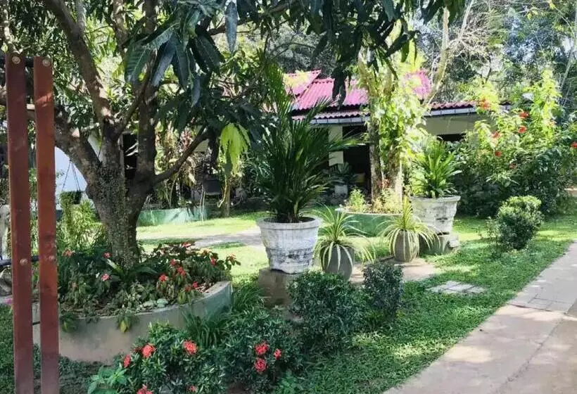 هتل Bangalawa Resort