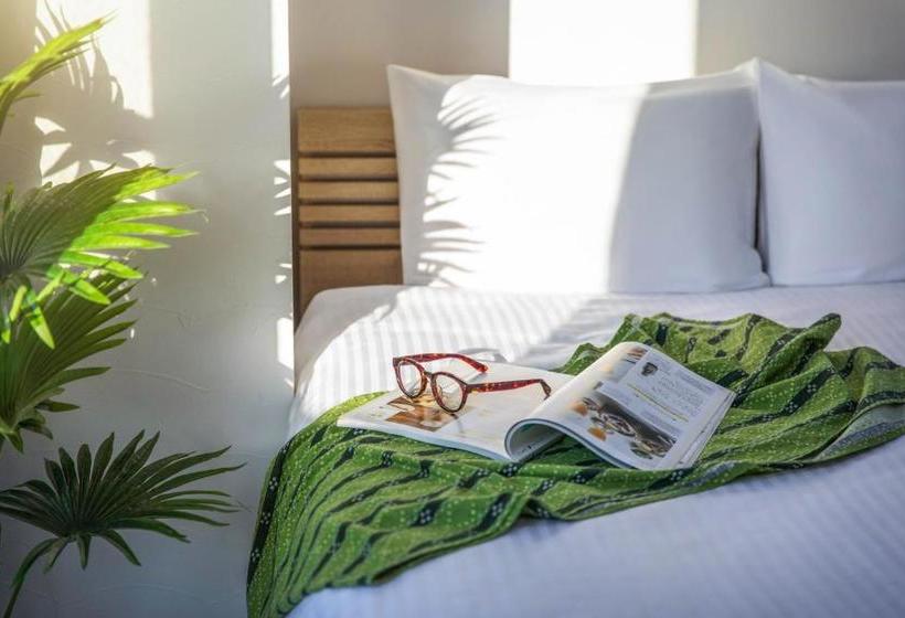 Tommy Condominium Maejima