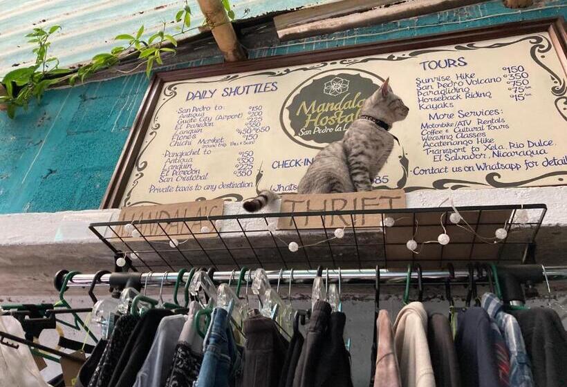 هاستل Mandala’s Hostal