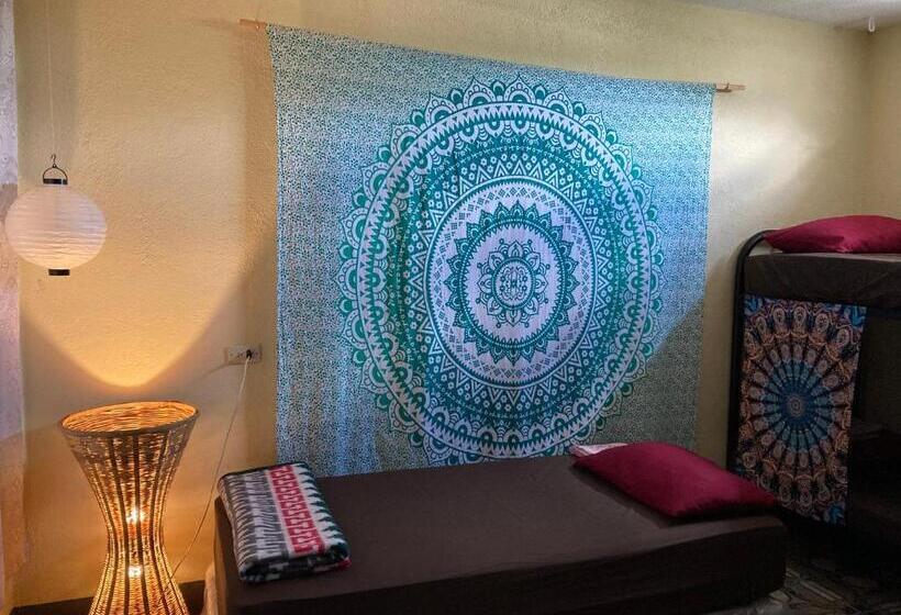 هاستل Mandala’s Hostal