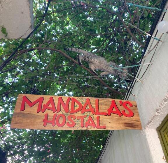هاستل Mandala’s Hostal