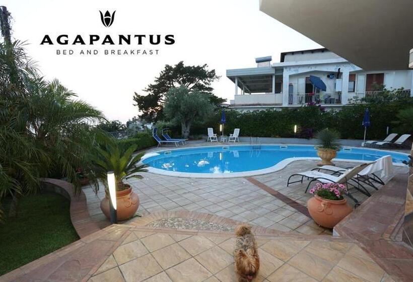 Agapantus Bed & Breakfast