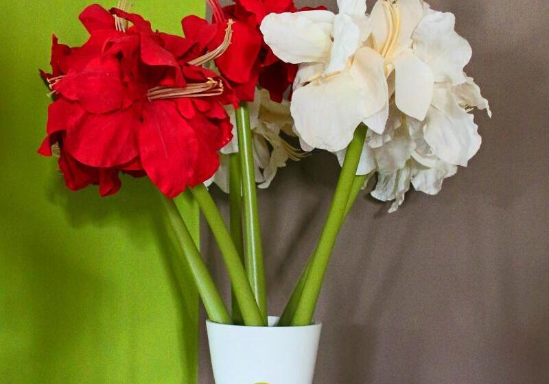 Отель Pombas Brancas Resort