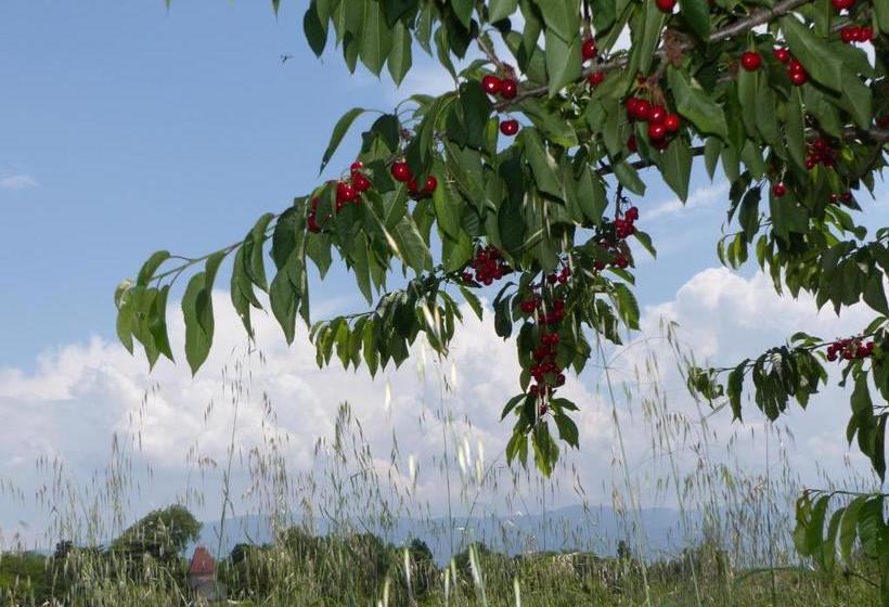 مبيت وإفطار La Ferme De Chaleyre