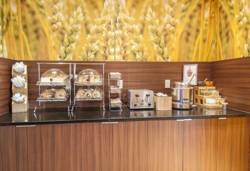 酒店 Fairfield Inn & Suites By Marriott Laplace