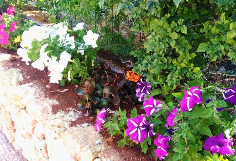 Nocleg ze śniadaniem Bb Scopello