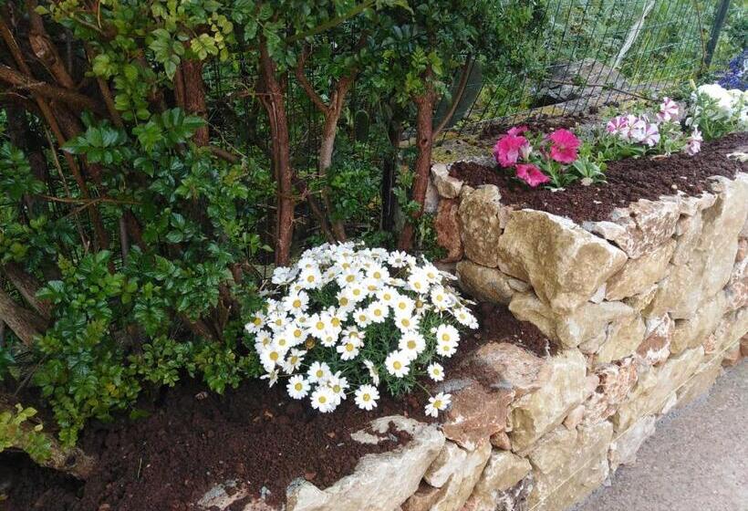 Nocleg ze śniadaniem Bb Scopello