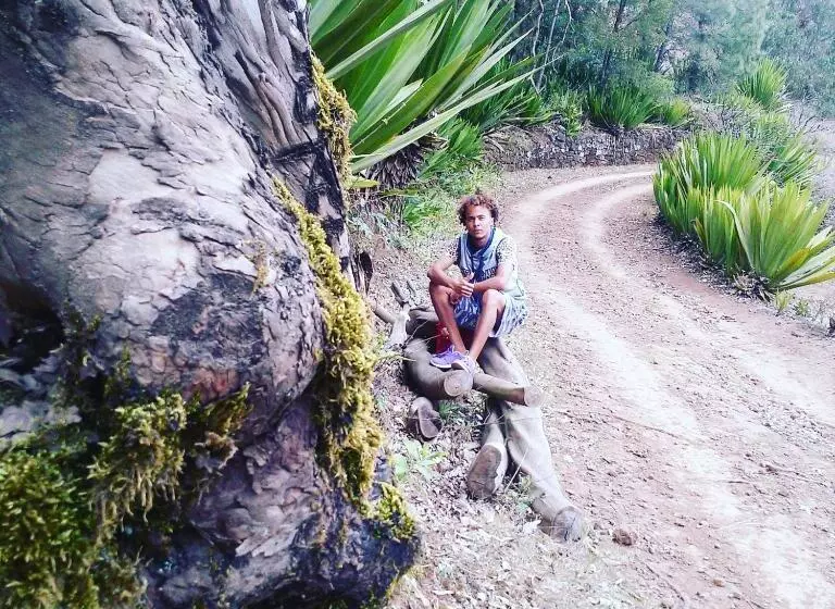 Bed & Breakfast Regina