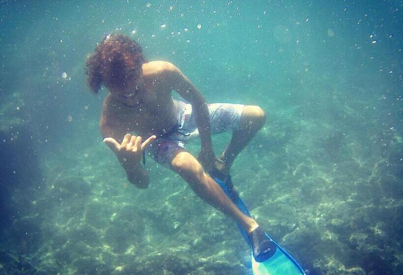 Bed & Breakfast Regina