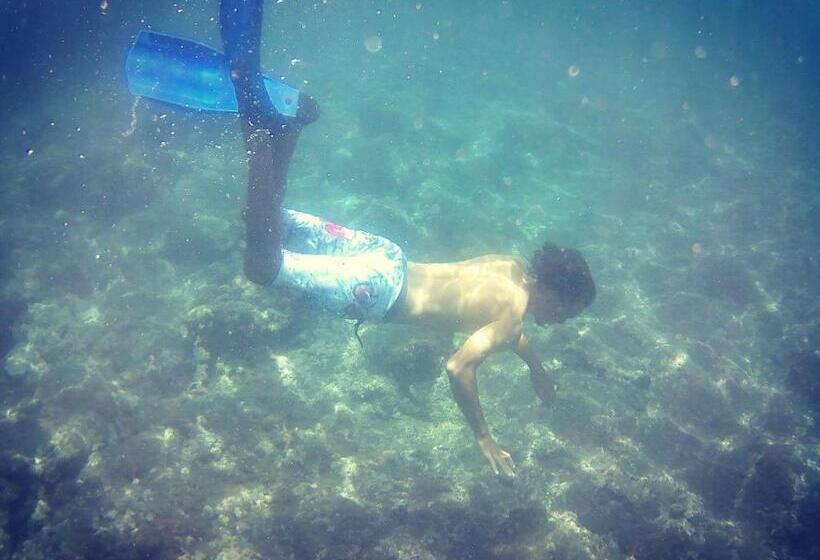 Bed & Breakfast Regina