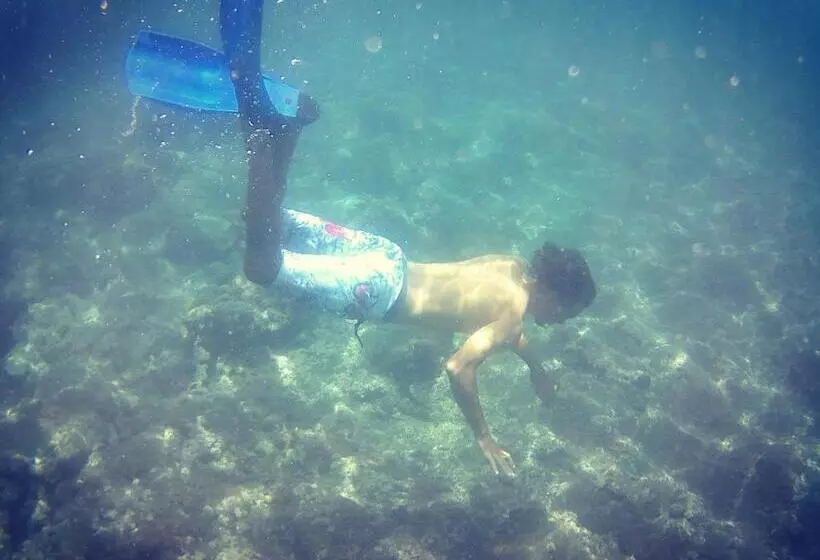 Bed & Breakfast Regina