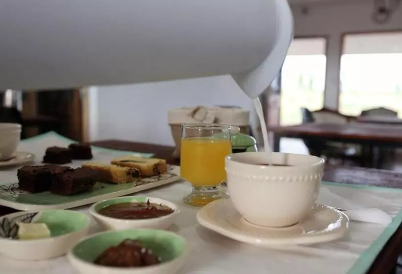 ホテル Los Teros Posada De Campo