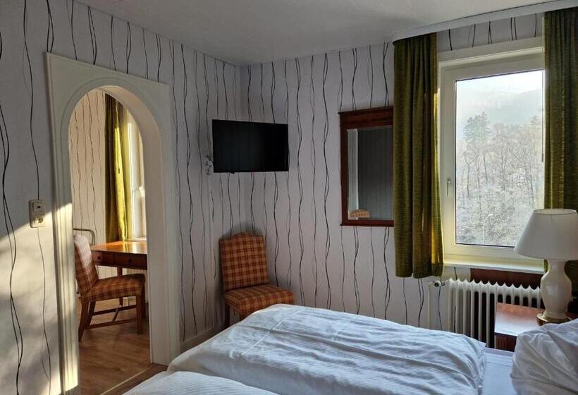 Harz Hotel Waldhaus