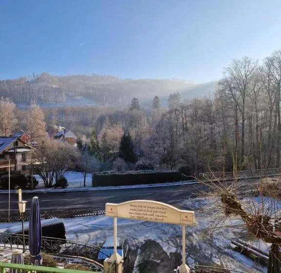 Harz Hotel Waldhaus