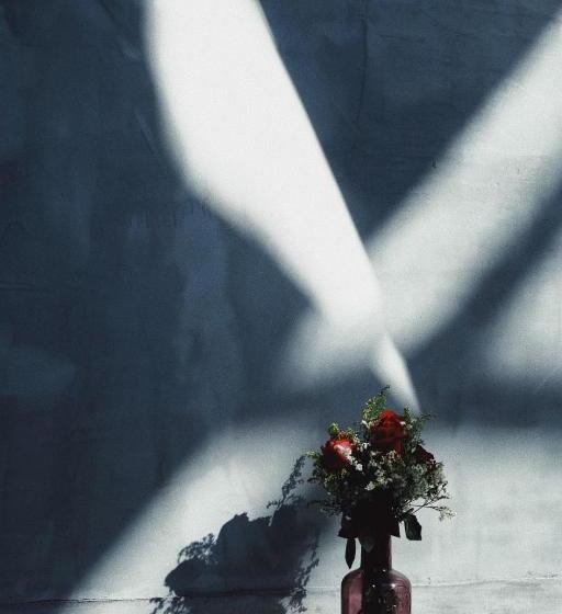 호텔 Neverwinter House