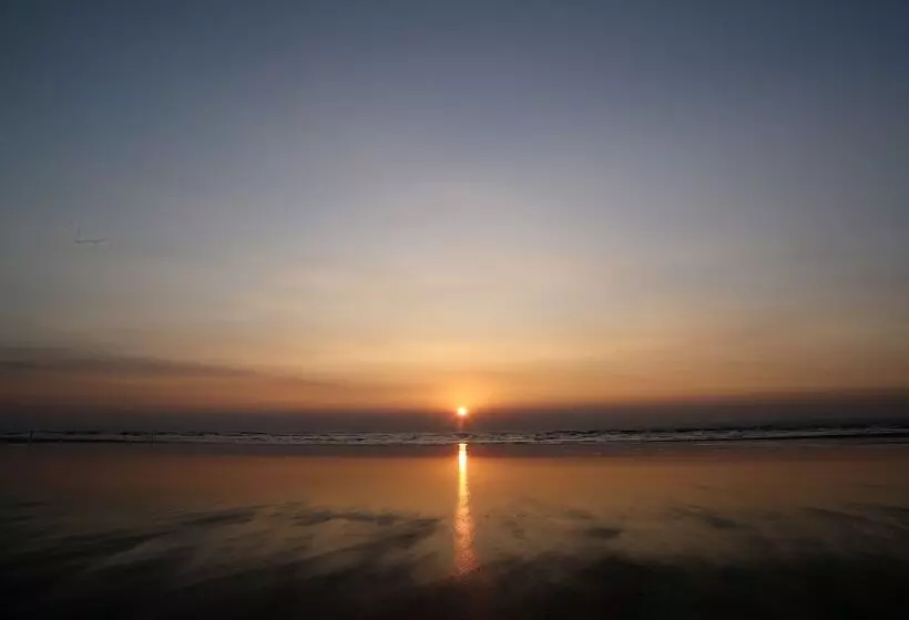 Bed and Breakfast Areca Palms