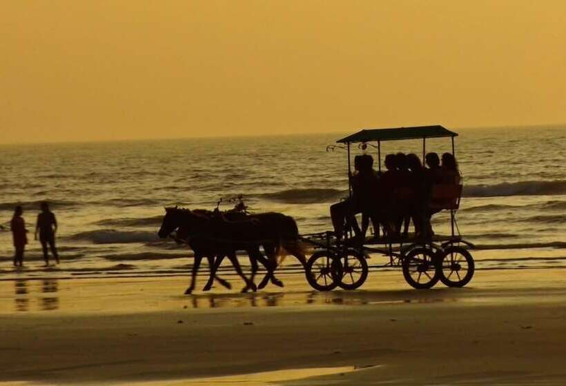 Bed and Breakfast Areca Palms