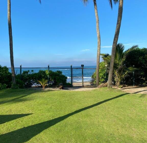 בית מלון כפרי Ayana Beach