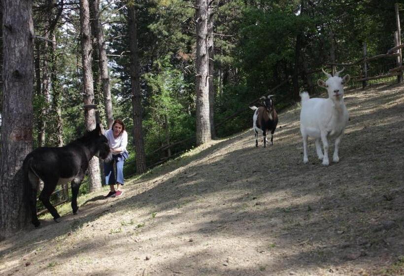 בית מלון כפרי Fattoria Belvedere