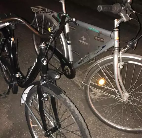 Aamiaismajoitus (B&B) Mentorer&b