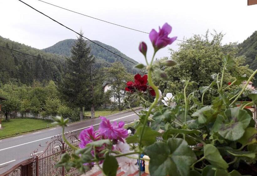 Pensiunea Cosalina Grande