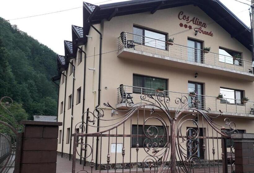 Pensiunea Cosalina Grande
