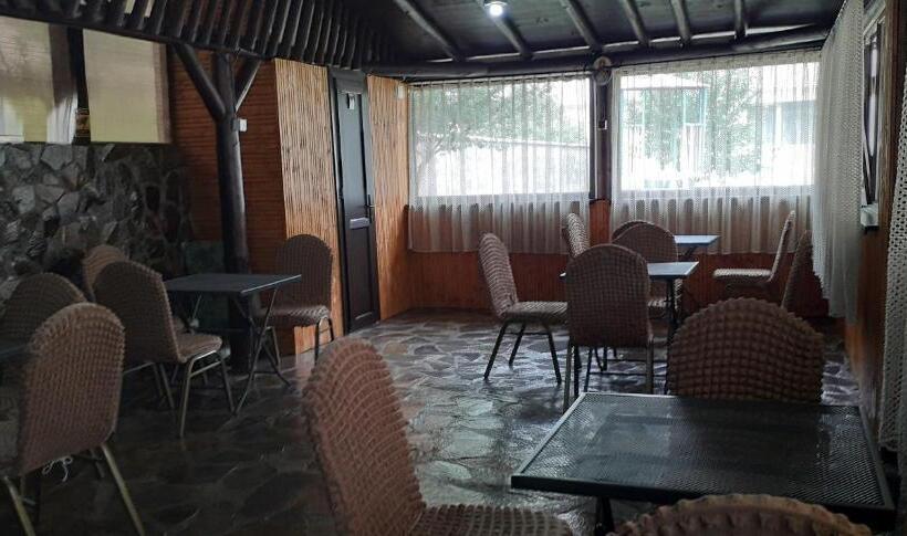 Pensiunea Cosalina Grande