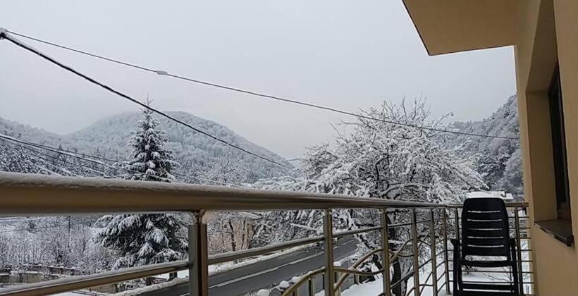 Pensiunea Cosalina Grande