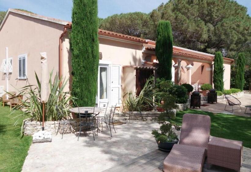 住宿加早餐  Chez Virginie