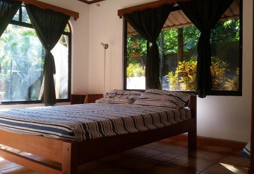 Bed & Breakfast Embassy House