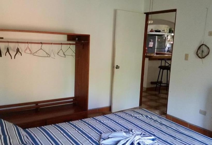 Bed & Breakfast Embassy House