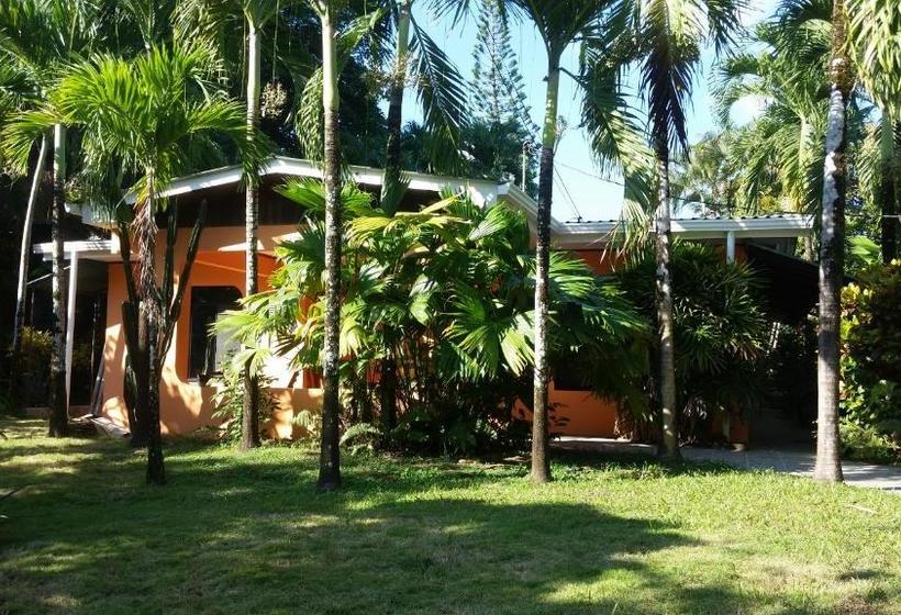 Bed & Breakfast Embassy House