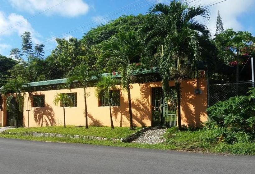 Bed & Breakfast Embassy House