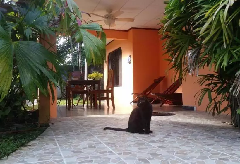 Aamiaismajoitus (B&B) Embassy House