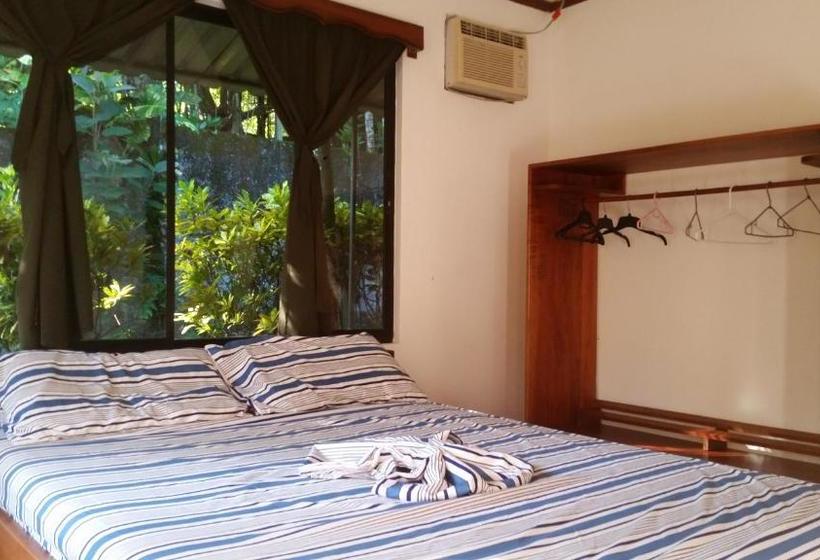 Bed & Breakfast Embassy House