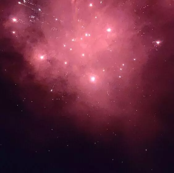 ホテル The New Munnar Summer Castle