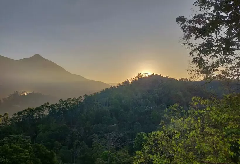 ホテル The New Munnar Summer Castle