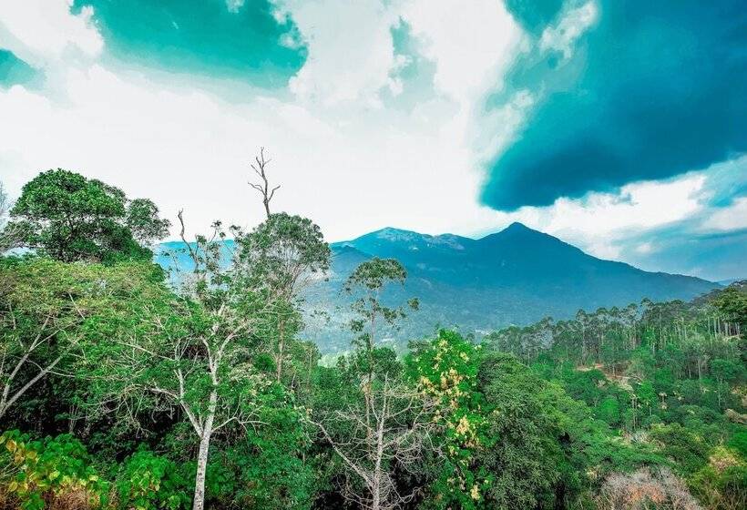 Отель The New Munnar Summer Castle