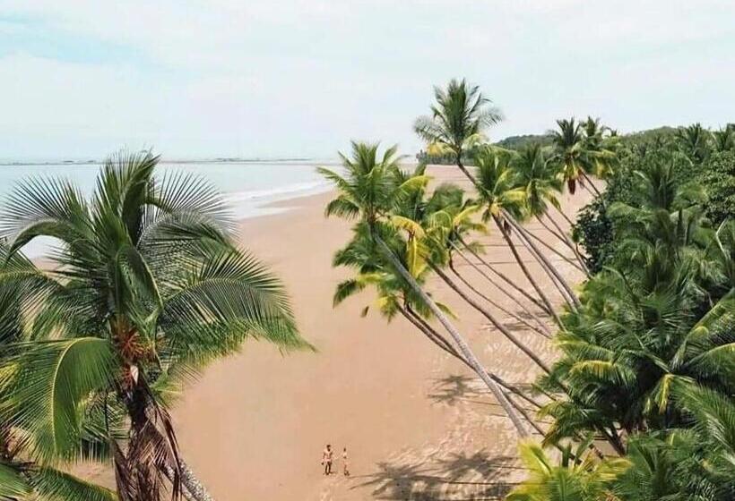 Apartahotel Playa Luna