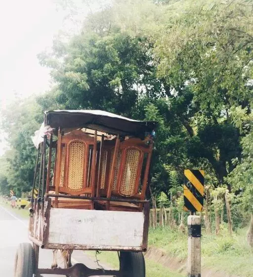 هتل Buena Onda Backpackers