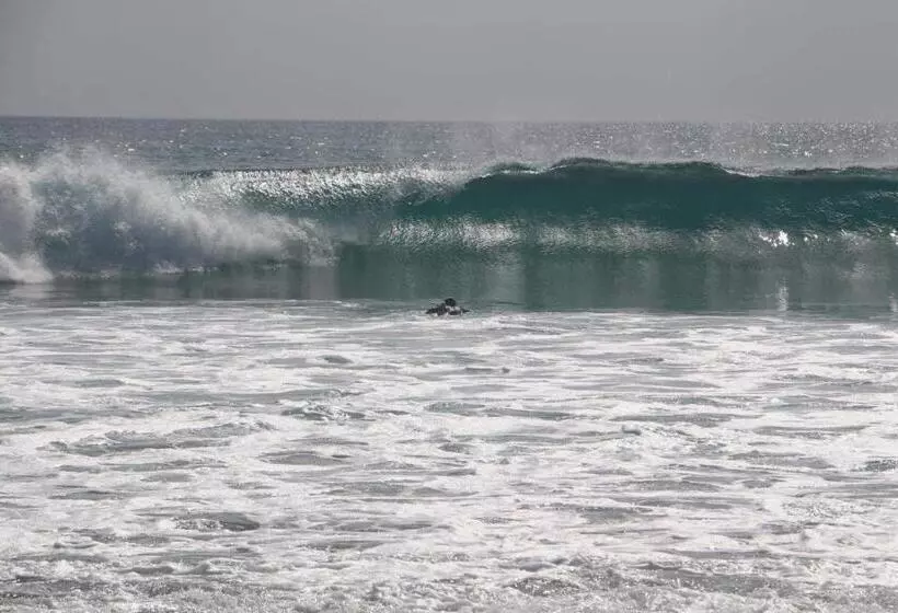 هتل Buena Onda Backpackers