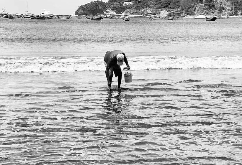 هتل Buena Onda Backpackers