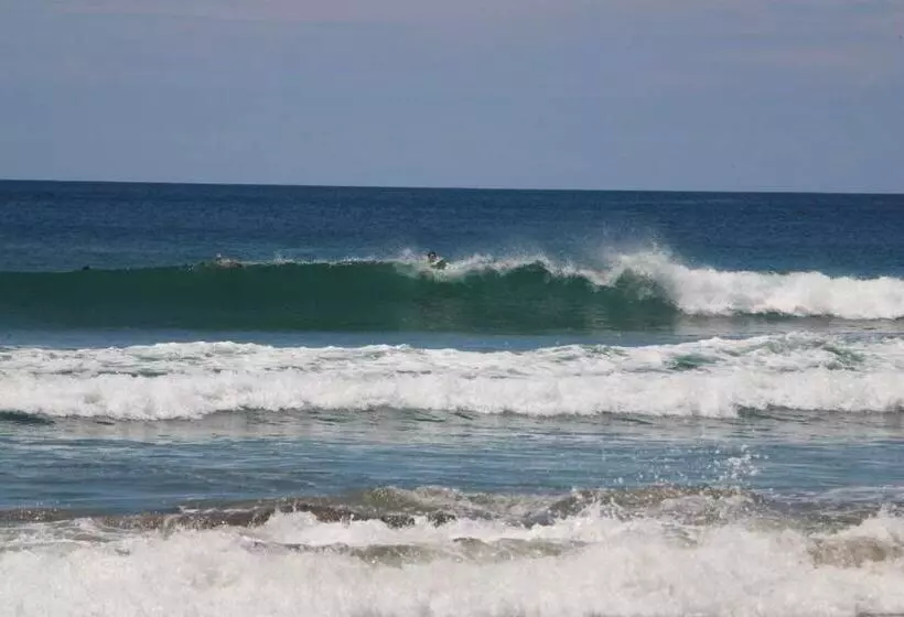 هتل Buena Onda Backpackers