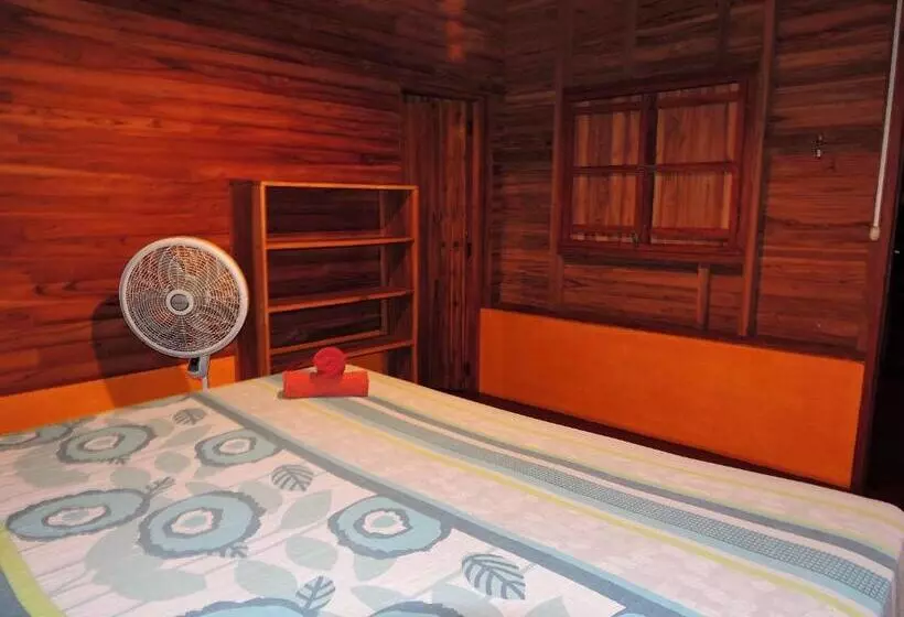 هتل Buena Onda Backpackers